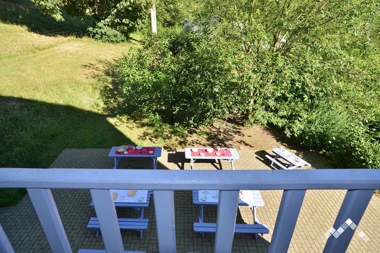 LE MANOIR DES ETANGS (28 pers.)-18